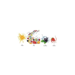 Artidee - Sapolina, Olio essenziale per sapone fruttato per bambini