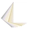 Canson - Mi-Teintes, Assortimento di carta, tonalità chiare