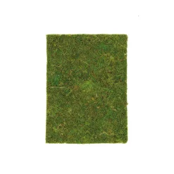 Glorex - Pannello di muschio