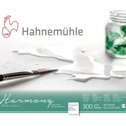 Hahnemühle - Carta per acquerello Harmony