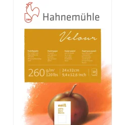 Hahnemühle Velours carta da pastello