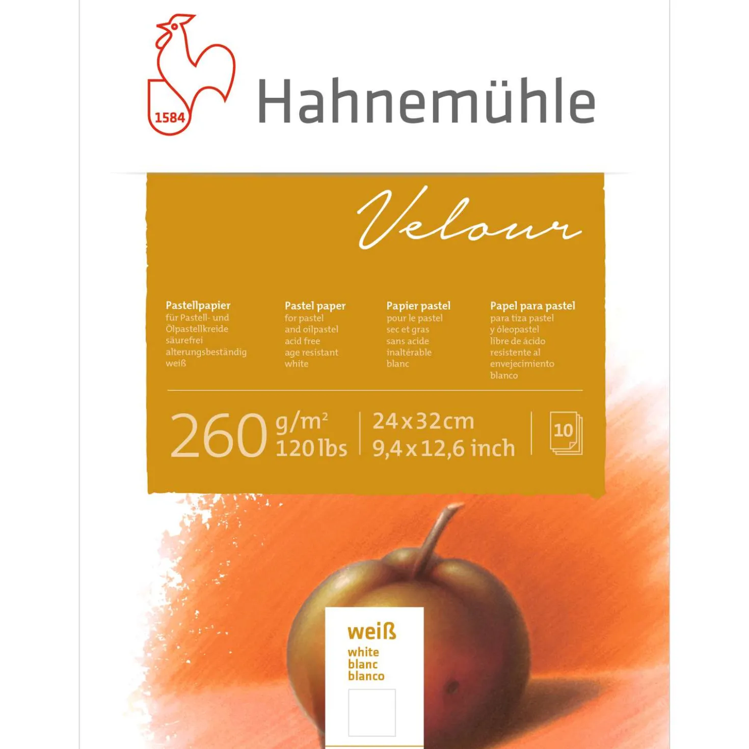 Hahnemühle Velours carta da pastello