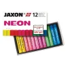 Jaxon - Neon, Pastelli ad olio in scatola di cartone