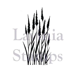 Lavinia - Timbro, Meadow Grass