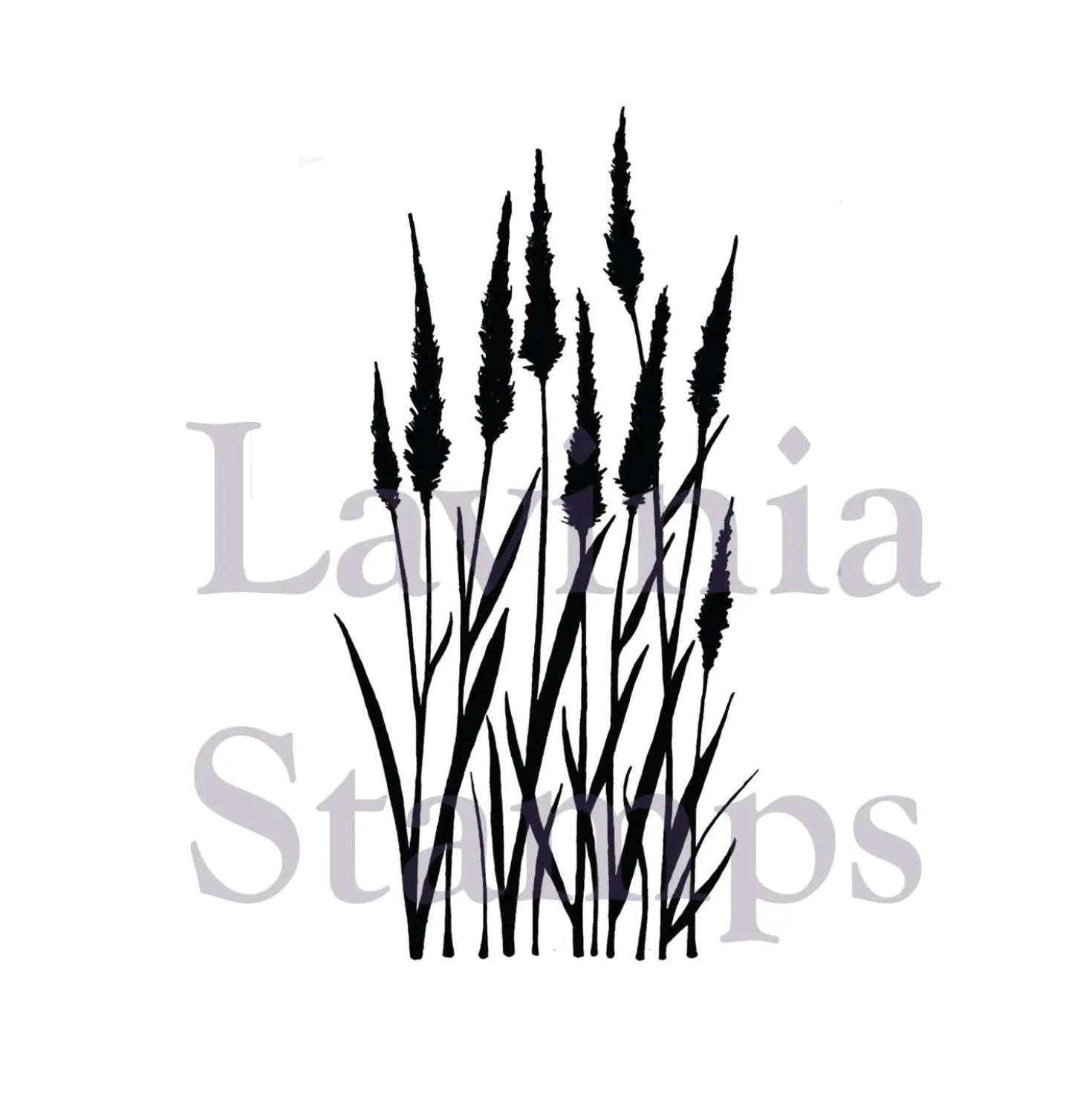 Lavinia - Timbro, Meadow Grass