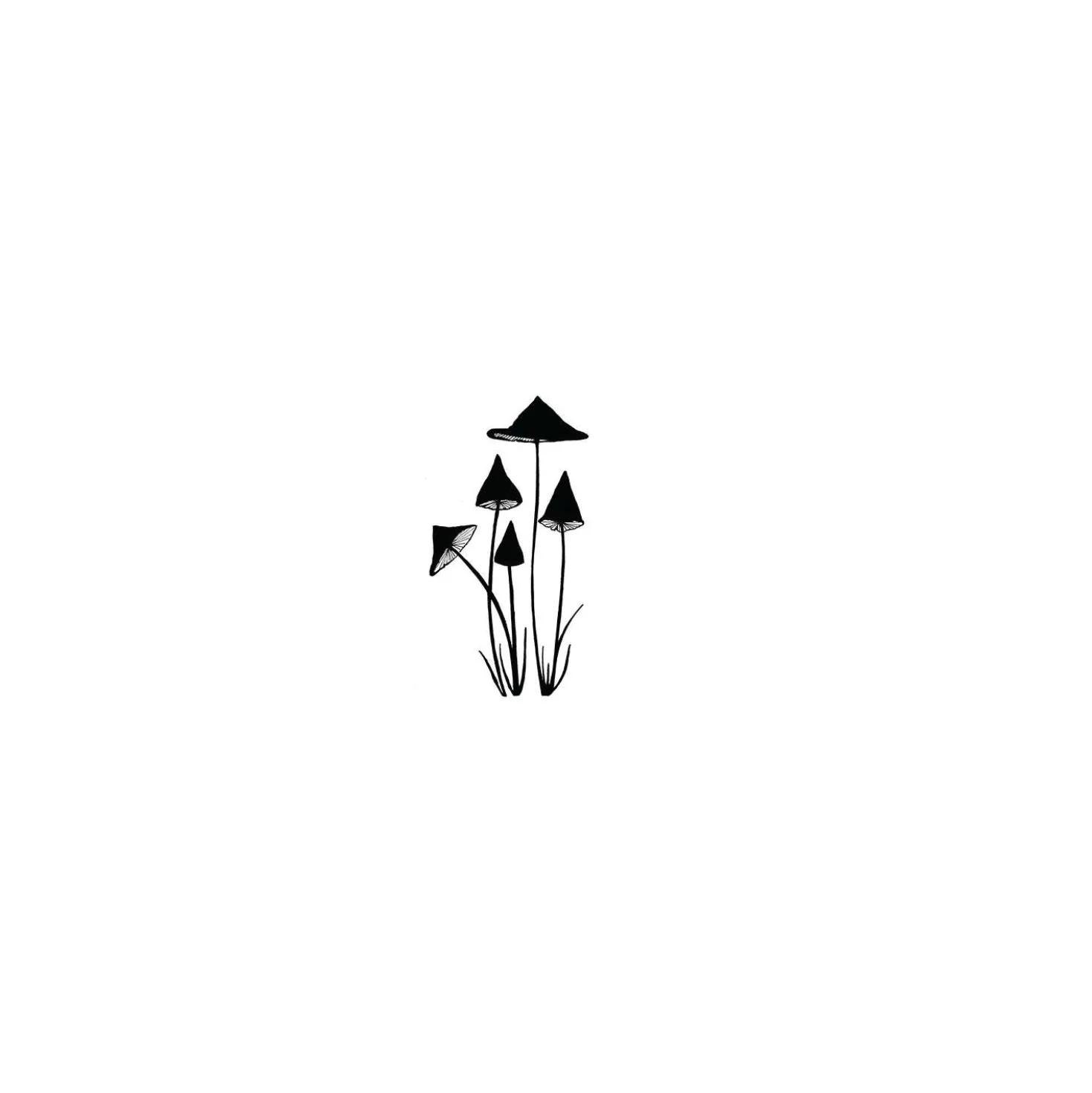 Lavinia - Timbro, Slender Mushrooms