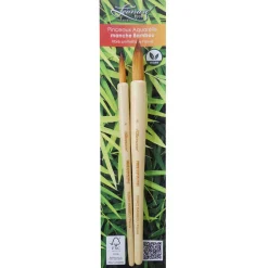 Léonard - Bambou Fauve Series 700 RO, Set di pennelli per acquerello
