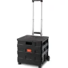 Pack & Roll - Trolley pieghevole