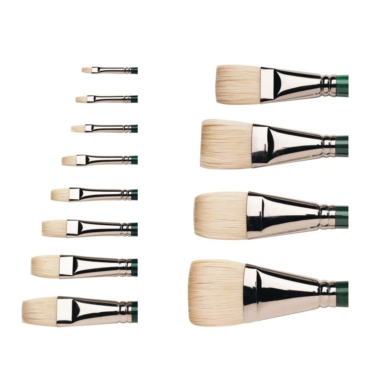Winsor & Newton - Winton, pennello in setola per colori a olio e acrilici, corto e piatto